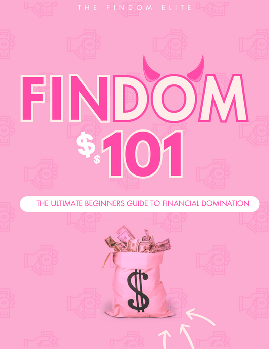 FINDOM 101 : The Ultimate Beginners Guide To Finacial Domination